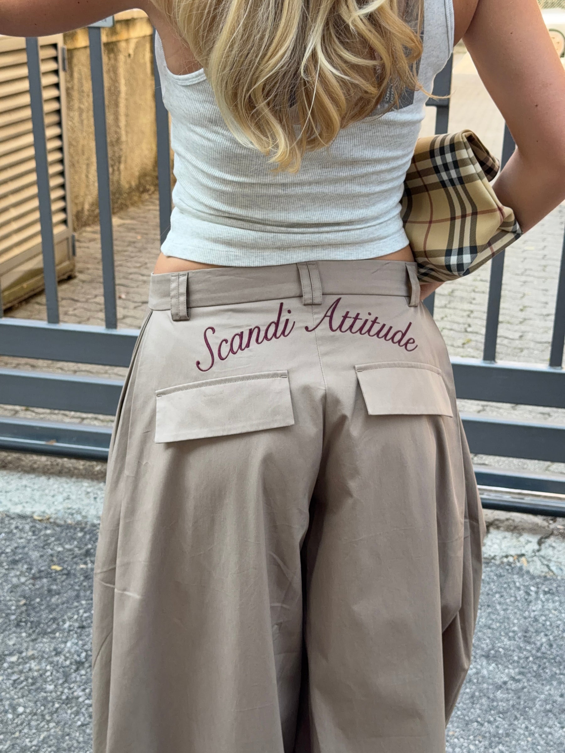 Paola deep pleats pants - Taupe