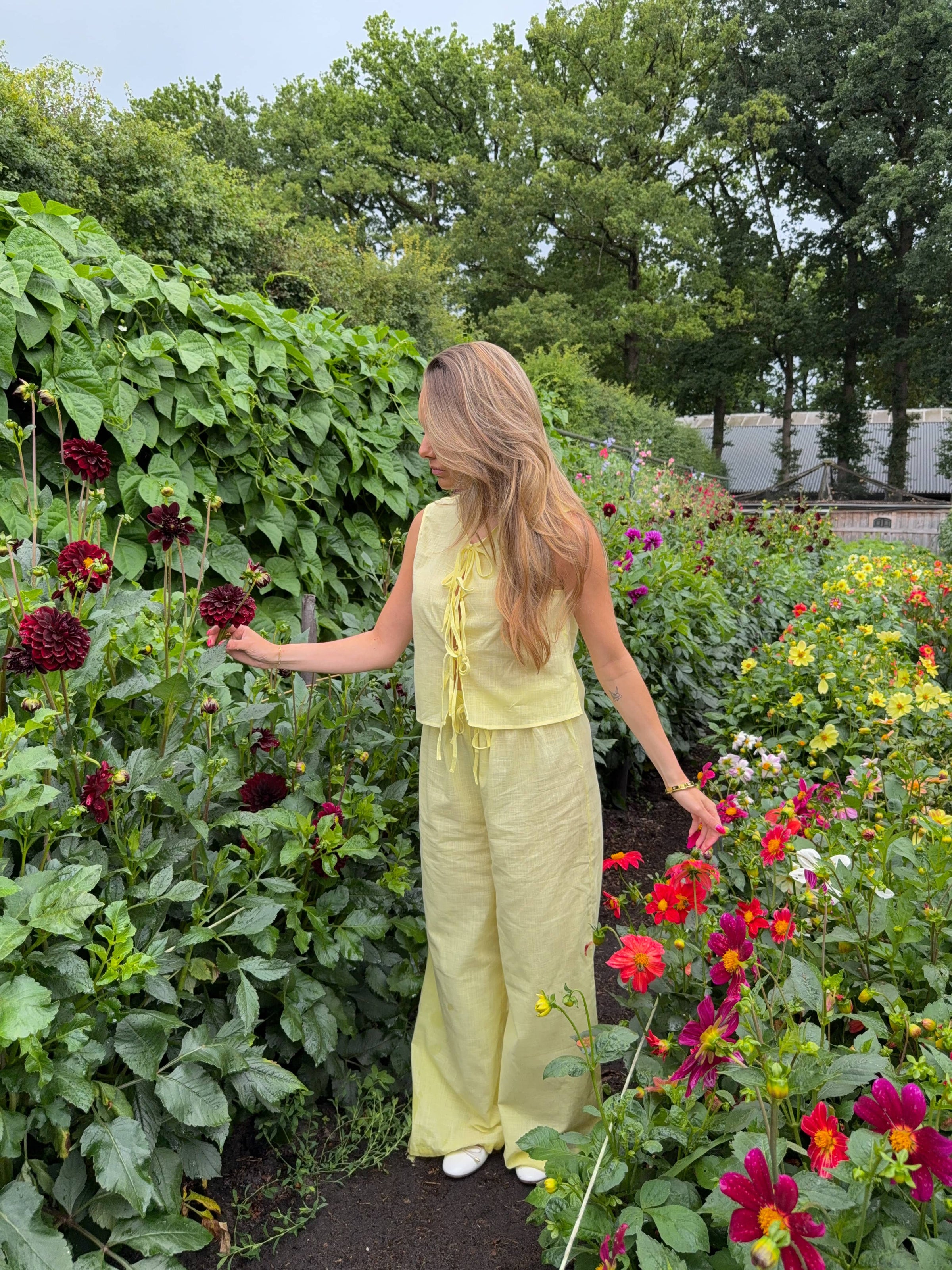 Elva linen pants - Light yellow